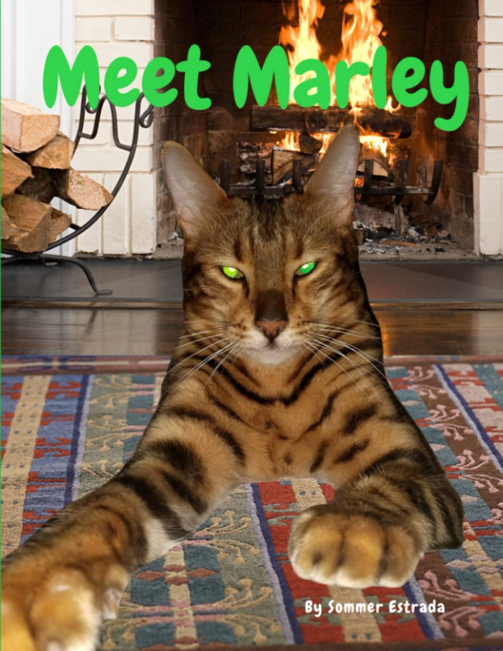 Meet Marley,Used