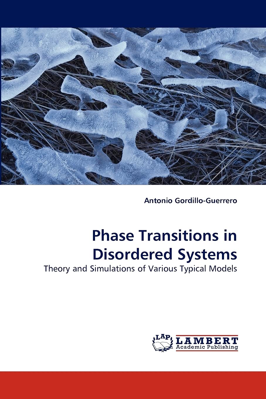 Phase Transitions in Disordered Systems: Theory and Simulations of Various Typical Models,Used
