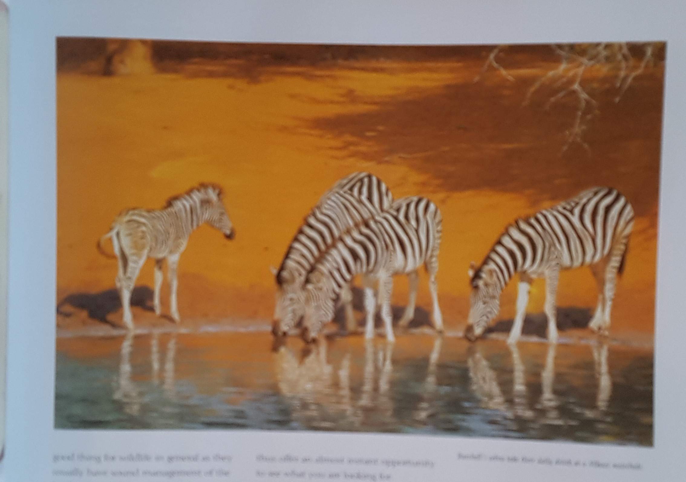 Africa: An Artist'S Journal
