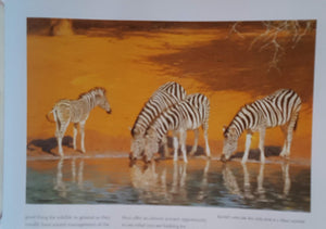 Africa: An Artist'S Journal