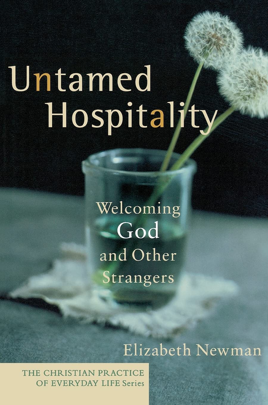 Untamed Hospitality: Welcoming God and Other Strangers (The Christian Practice of Everyday Life),Used
