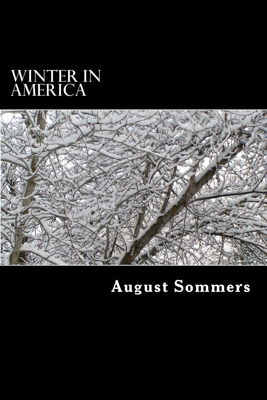 Winter in America,Used