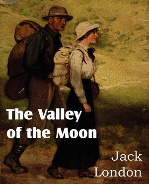 The Valley Of The Moon,Used