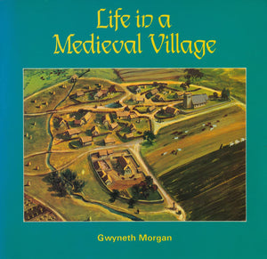Life in a Medieval Village (Cambridge Introduction to World History),Used