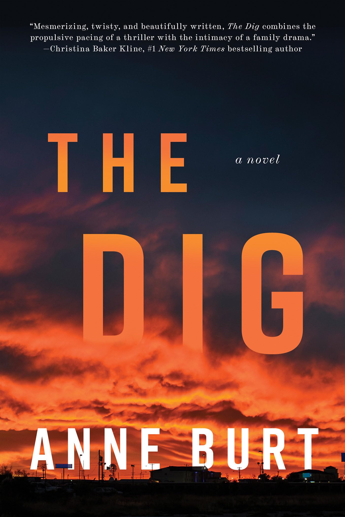 The Dig: A Novel,Used