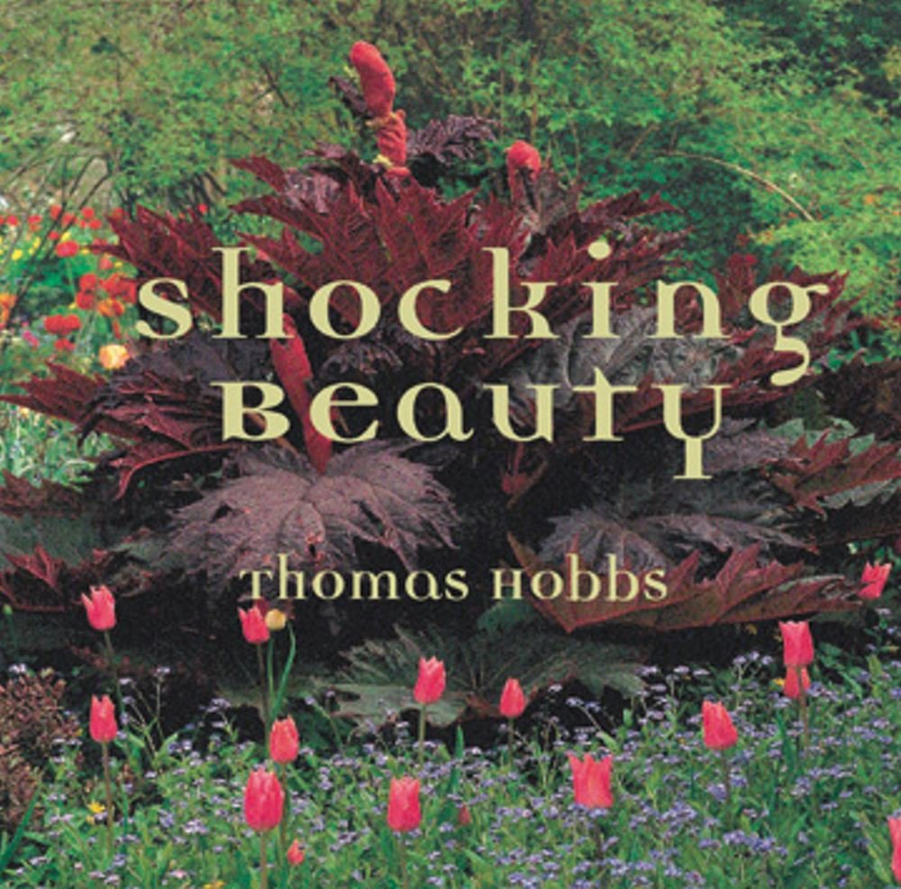 Shocking Beauty,Used
