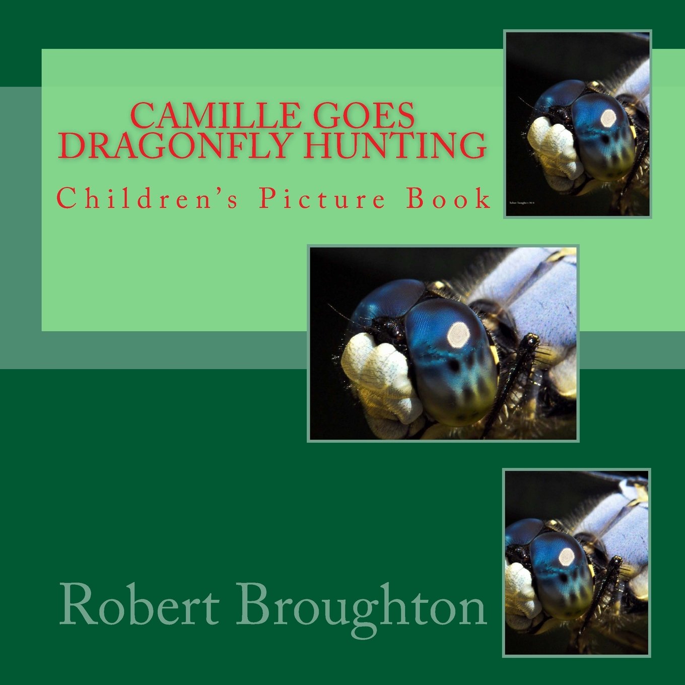 Camille Goes Dragonfly Hunting: Children's Photograph Book,Used