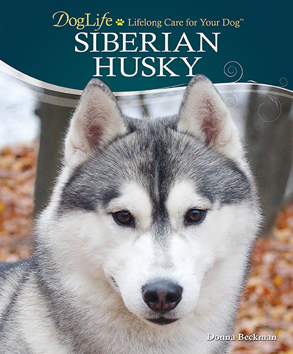Siberian Husky (Doglife Series),Used