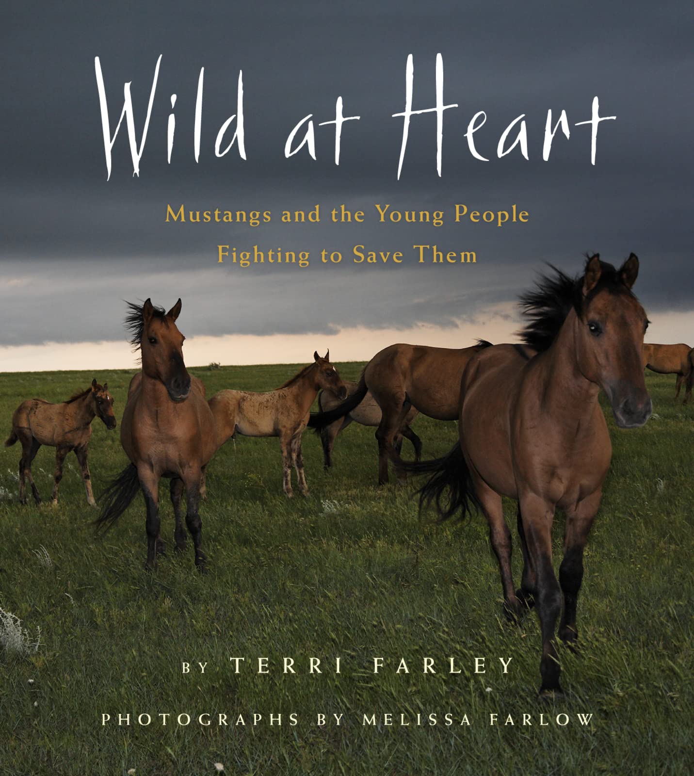 Wild at Heart: Mustangs and the Young People Fighting to Save Them,Used