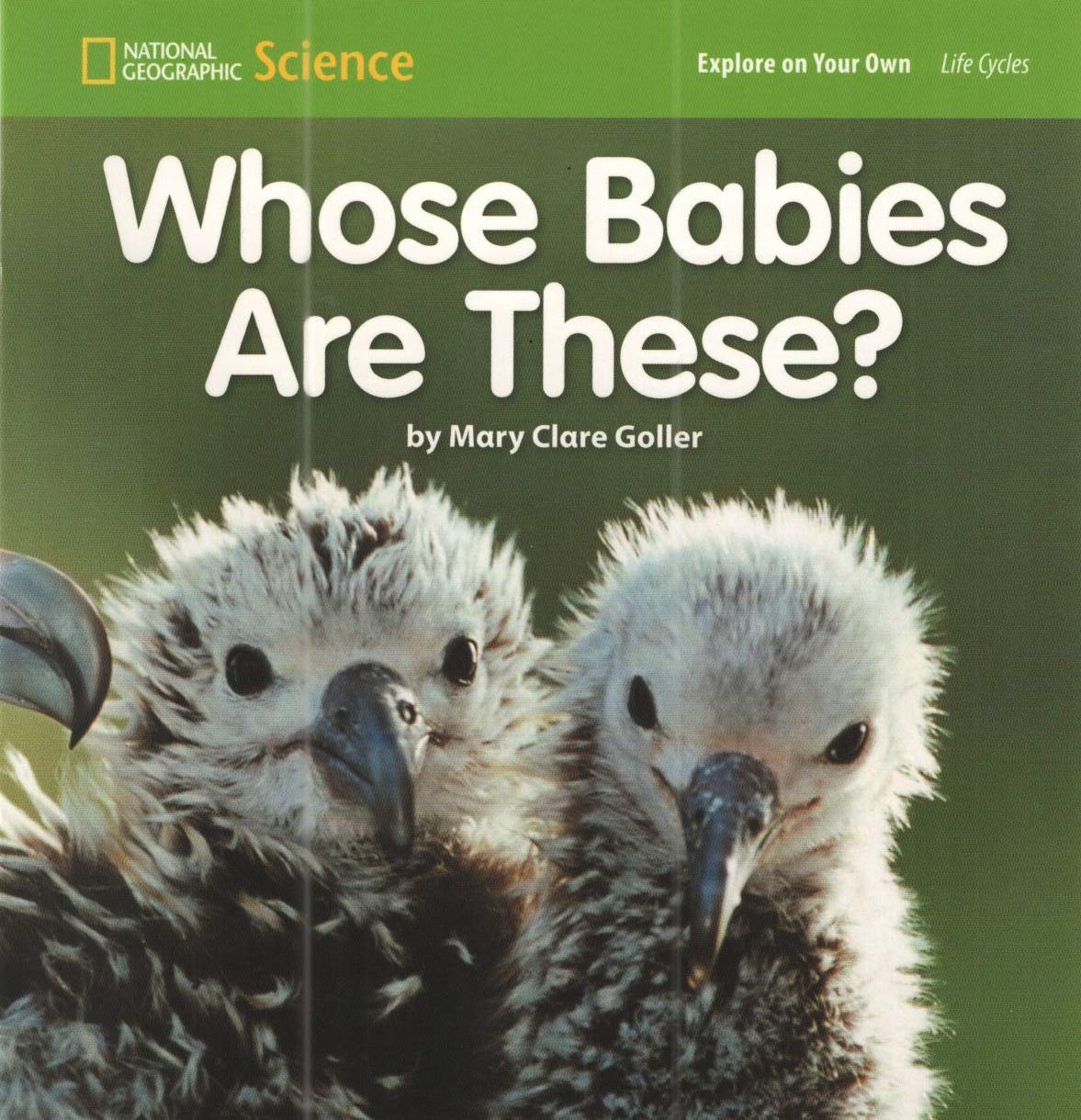 National Geographic Science 12 (Life Science: Life Cycles): Explore on Your Own: Whose Babies Are These?,Used