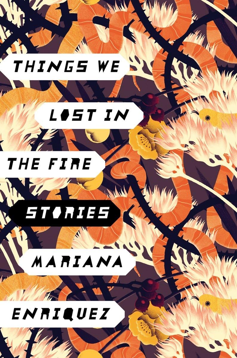 Things We Lost in the Fire: Stories,Used
