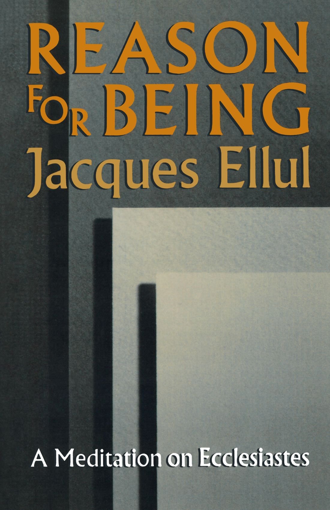 Reason for Being: A Meditation on Ecclesiastes,Used