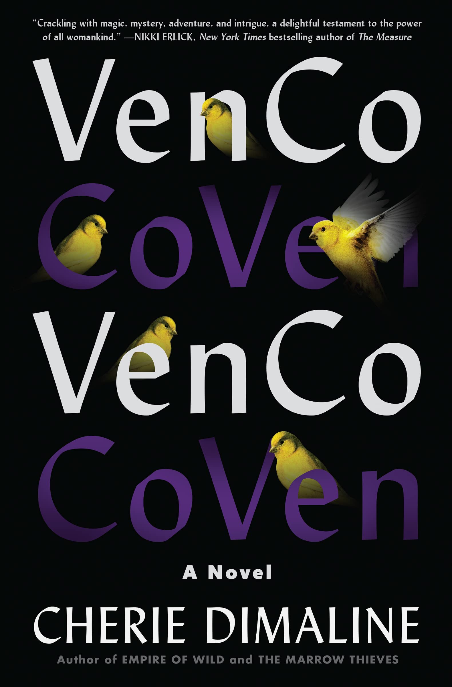 Venco: A Novel,Used