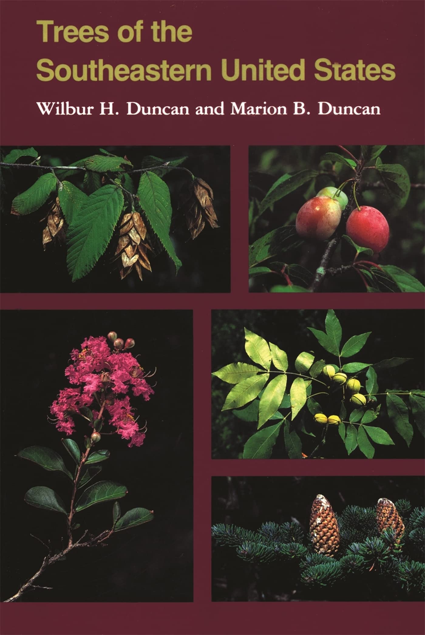 Trees Of The Southeastern United States (Wormsloe Foundation Publication Ser.),Used