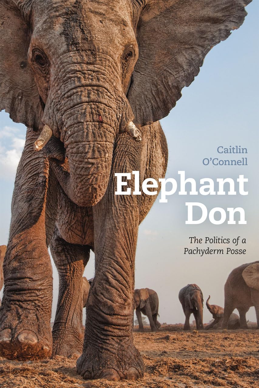 Elephant Don: The Politics of a Pachyderm Posse,Used