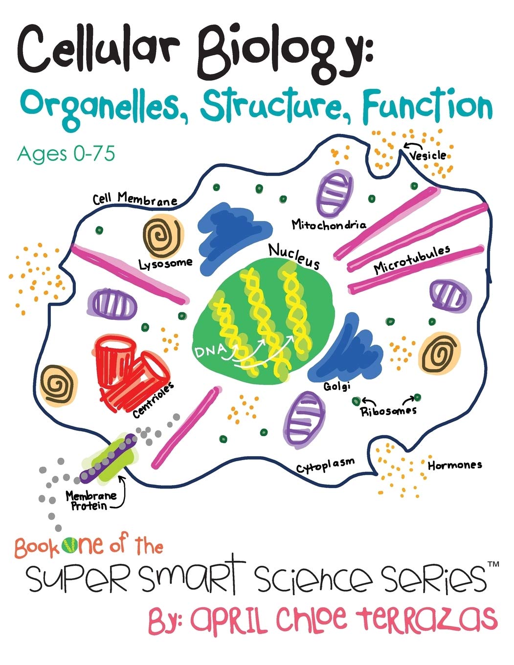 Cellular Biology: Organelles, Structure, Function (Super Smart Science Series),New