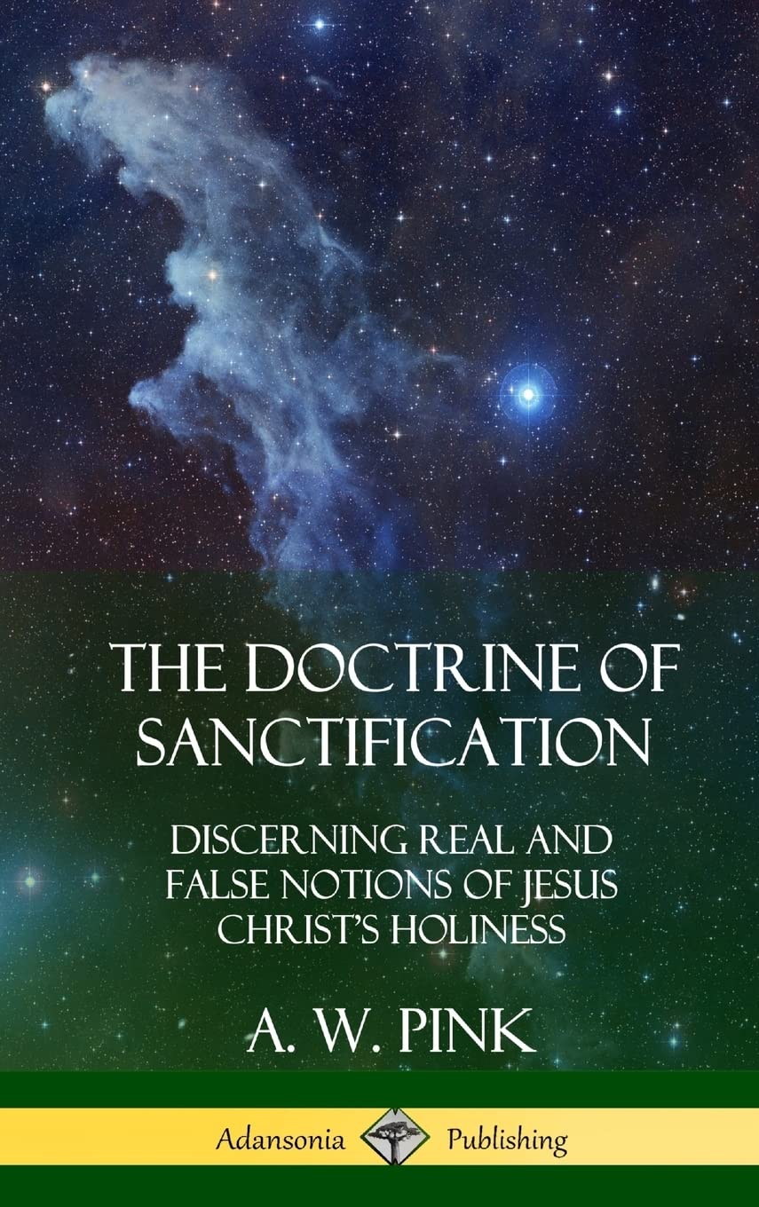 The Doctrine of Sanctification: Discerning real and false notions of Jesus Christ's Holiness (Hardcover),Used