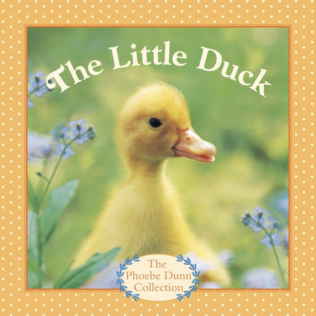 The Little Duck (Phoebe Dunn),Used