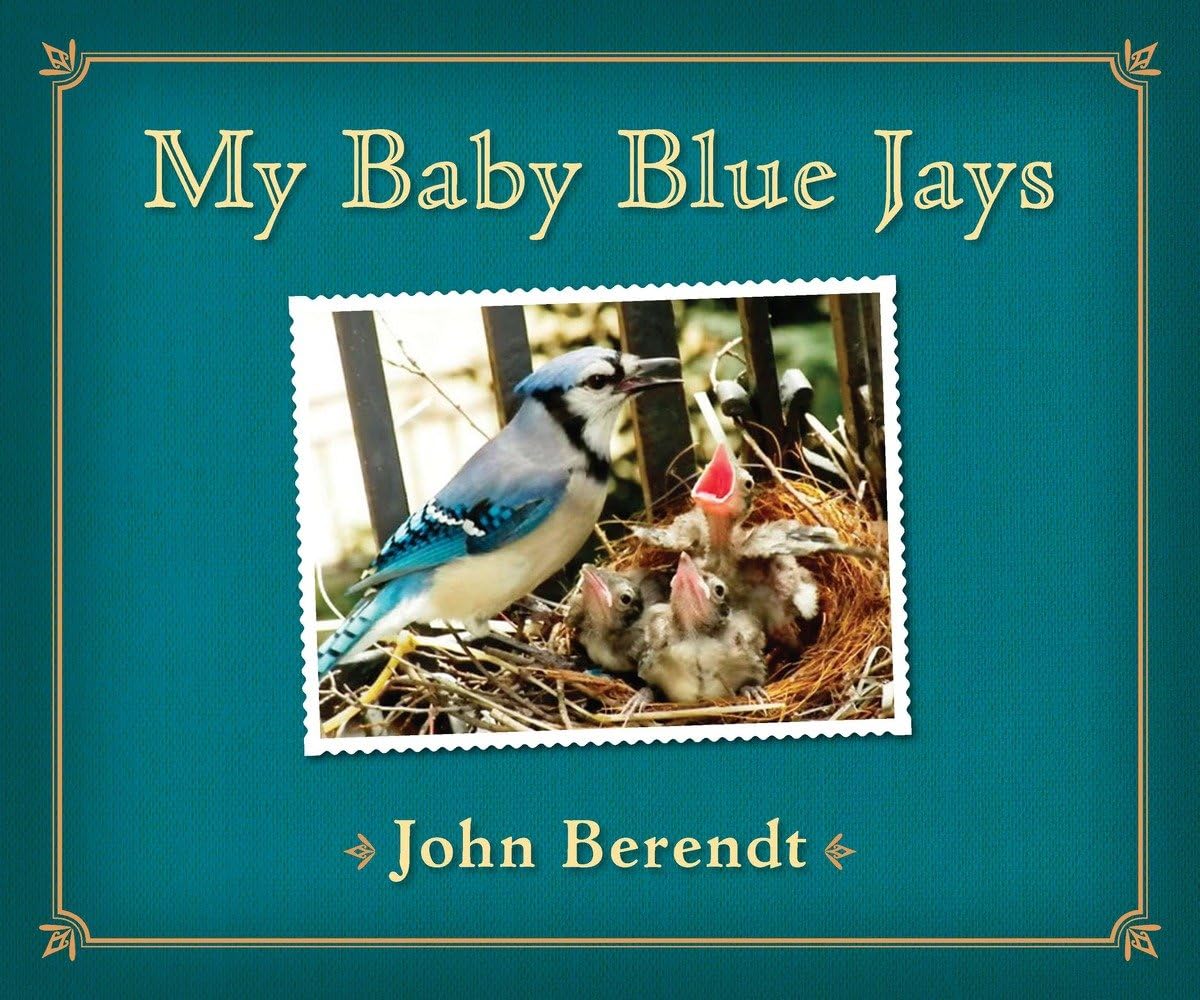 My Baby Blue Jays,Used