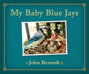 My Baby Blue Jays,Used