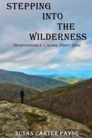 Stepping Into The Wilderness: Responsible Living: Part One,Used