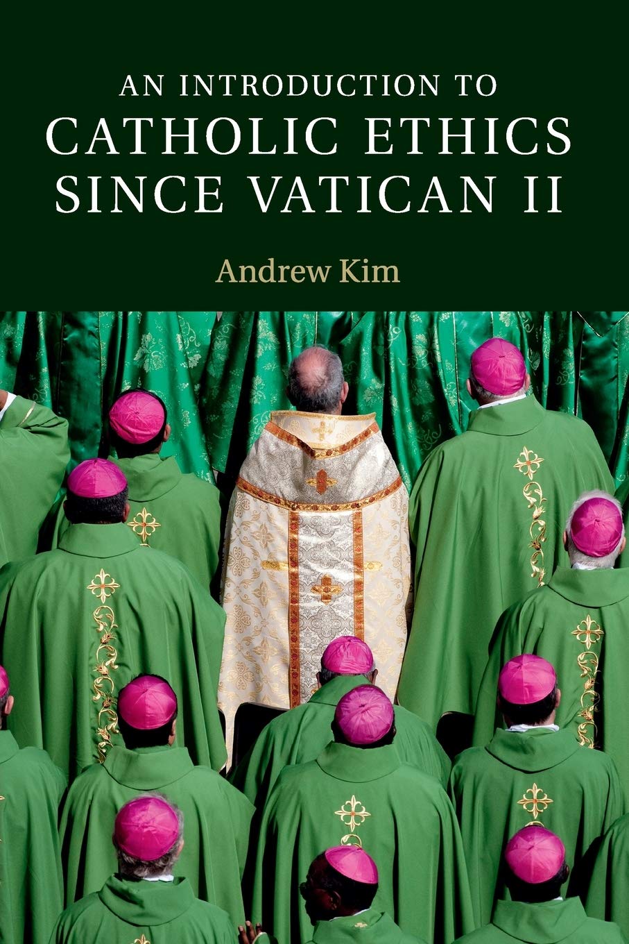 An Introduction to Catholic Ethics since Vatican II (Introduction to Religion),Used