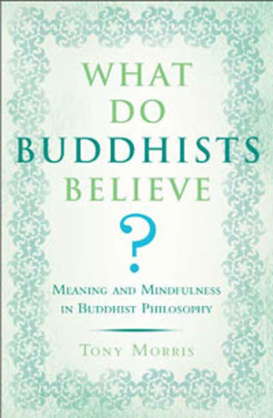 What Do Buddhists Believe?: Meaning and Mindfulness in Buddhist Philosophy,Used