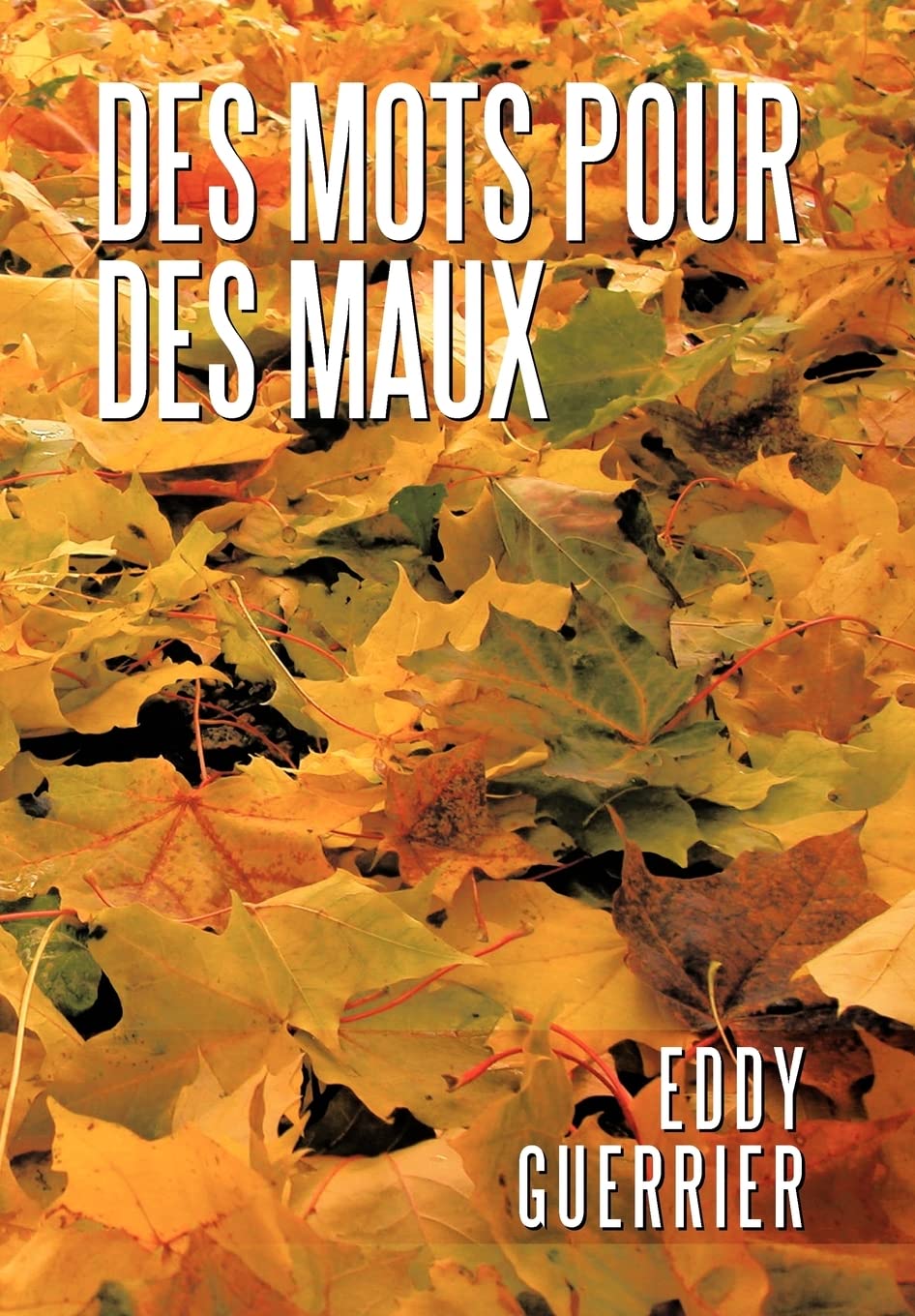 Des Mots Pour Des Maux (French Edition),Used