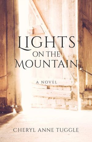 Lights on the Mountain: A Novel,Used