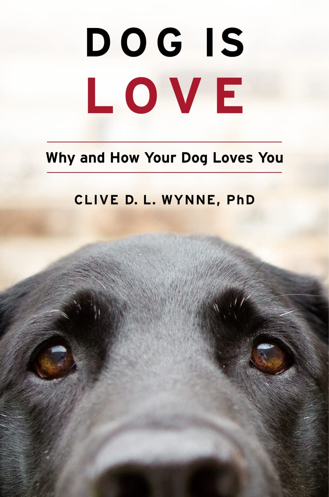 Dog Is Love: Why and How Your Dog Loves You,Used