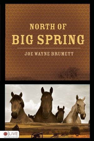 North of Big Spring