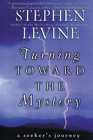 Turning Toward The Mystery: A Seeker'S Journey,Used