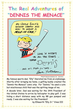 The Real Adventures Of 'Dennis The Menace',Used