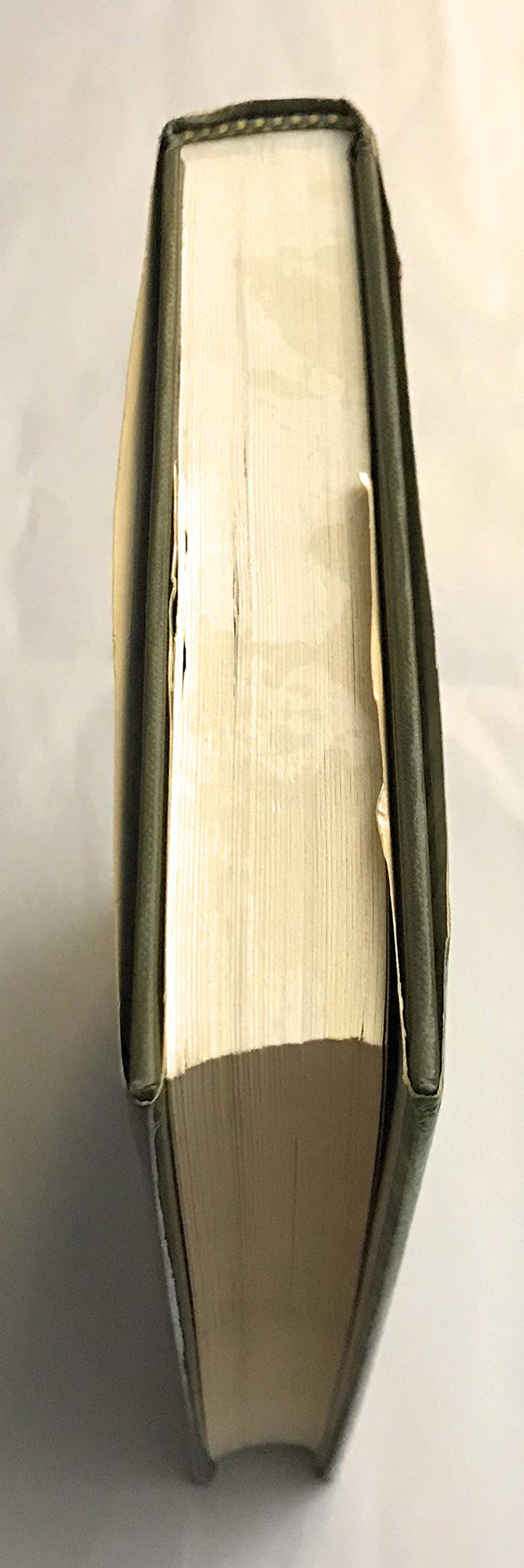 A Wilderness Original: The Life of Bob Marshall,Used