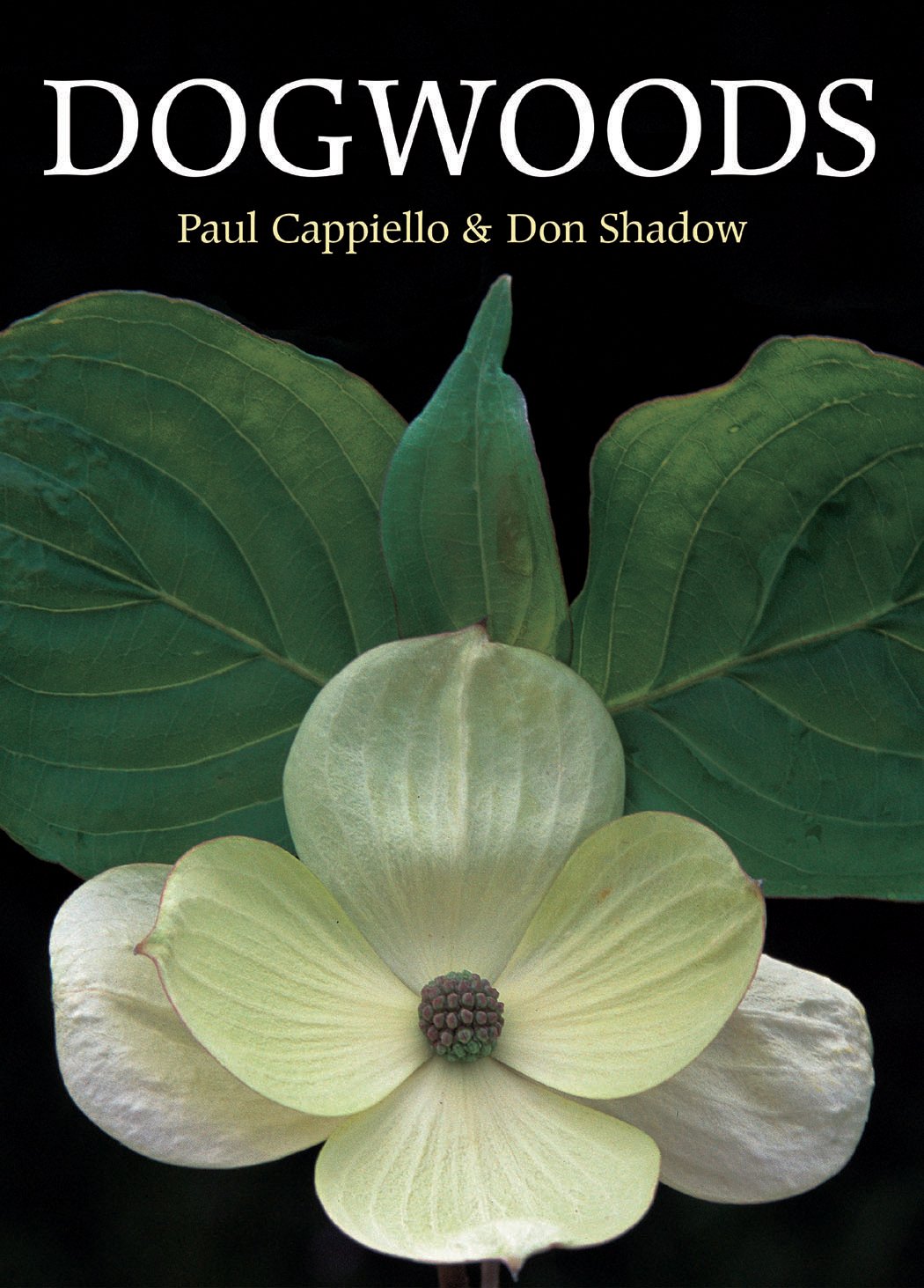 Dogwoods: The Genus Cornus,Used