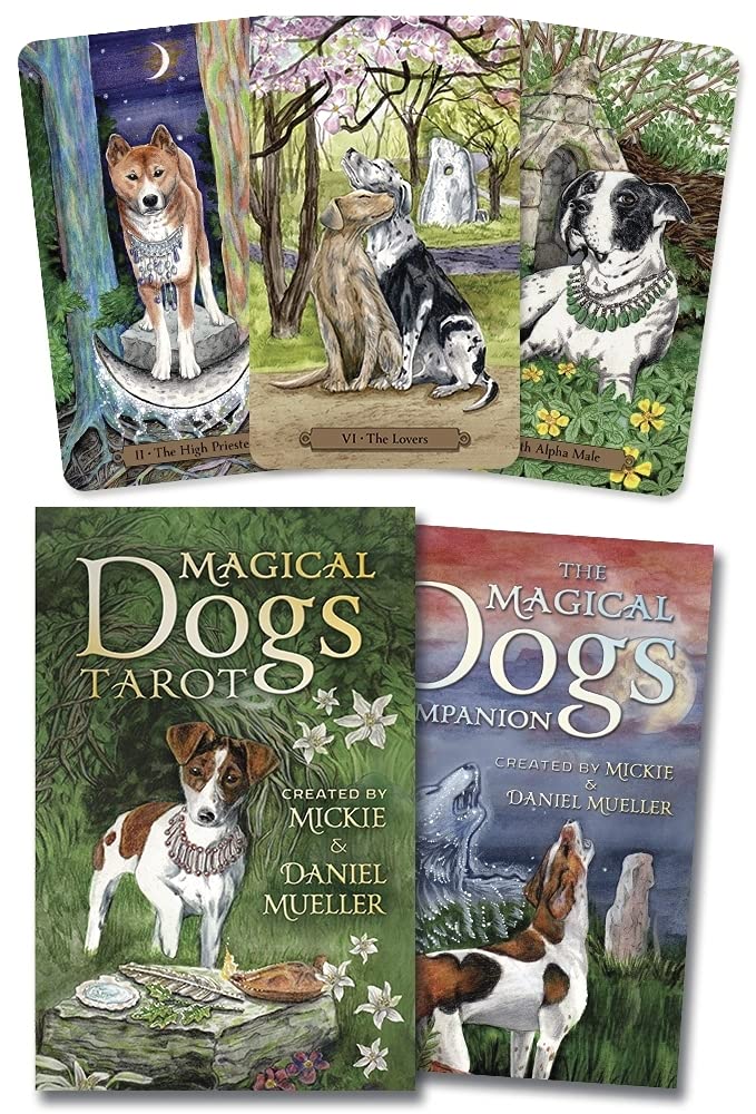 Magical Dogs Tarot,Used