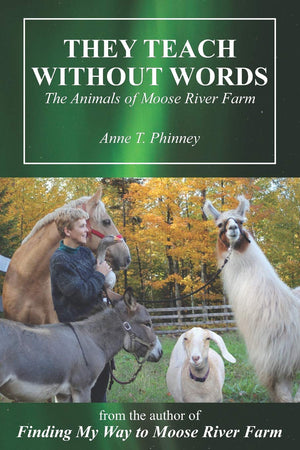 They Teach Without Words: The Animals of Moose River Farm,Used