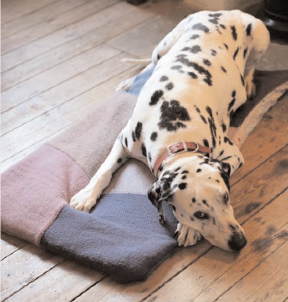 Simple Gifts For Dog Lovers,Used
