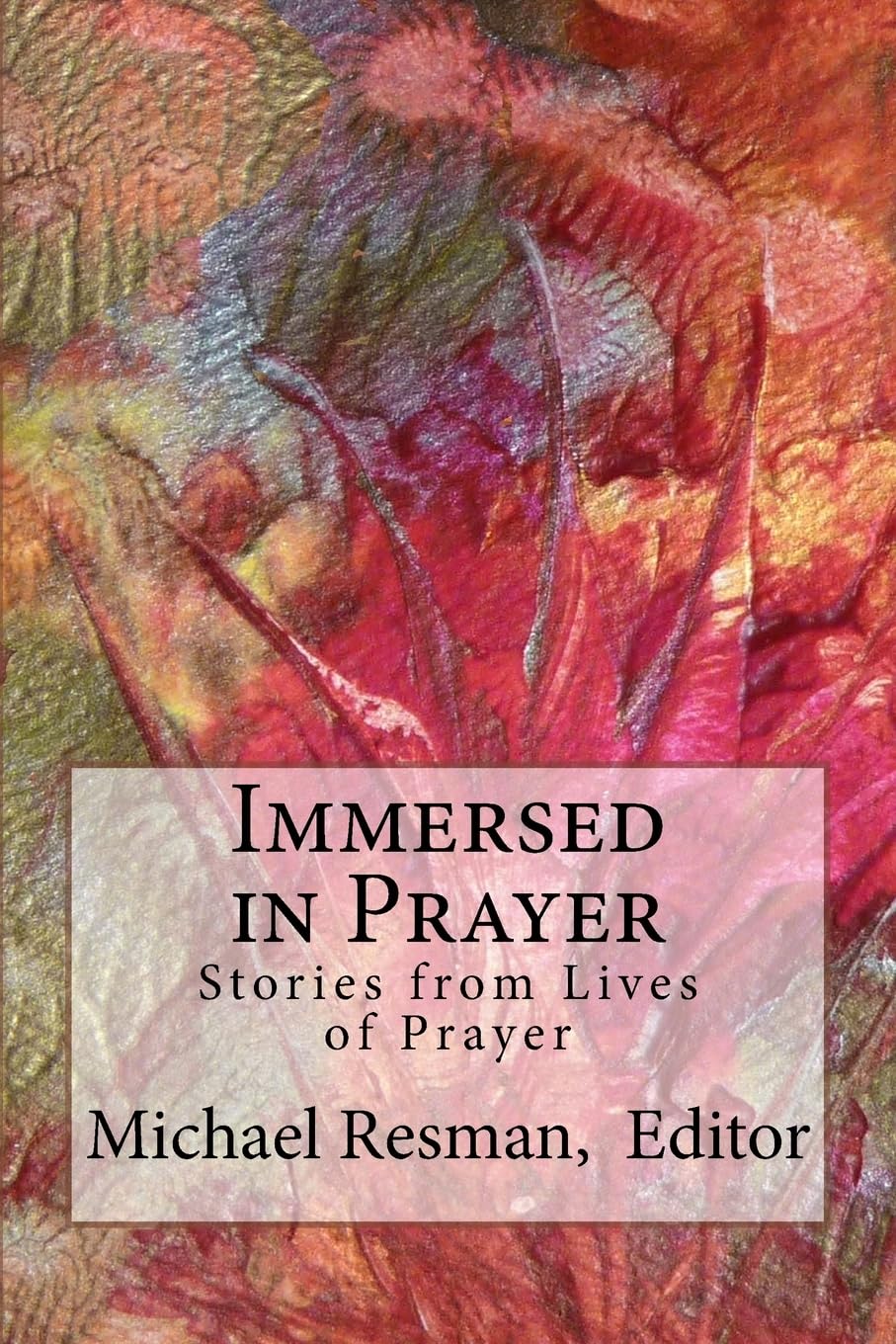 Immersed in Prayer: Stories from Lives of Prayer,Used