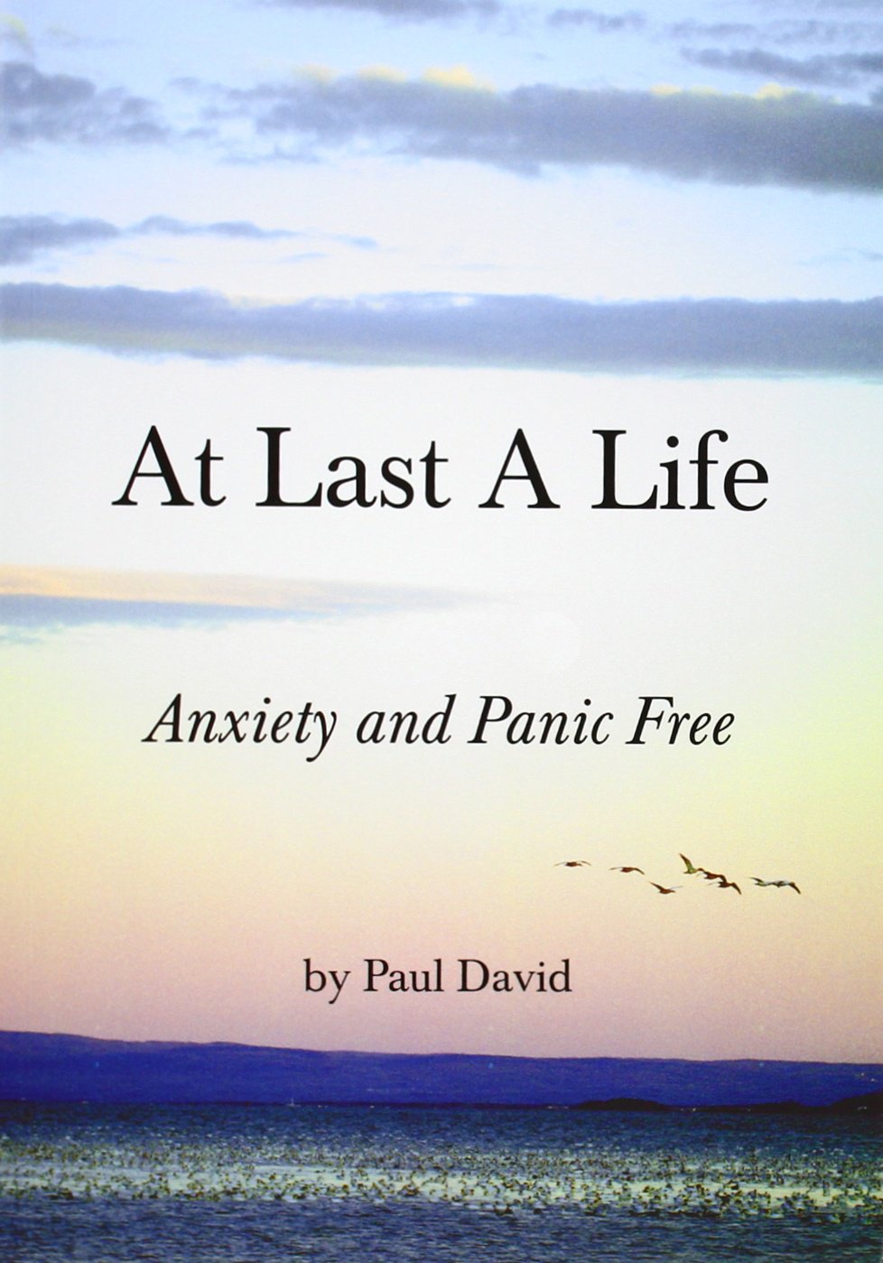 At Last a Life,New