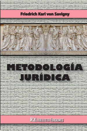 Metodologia Juridica (Spanish Edition),Used