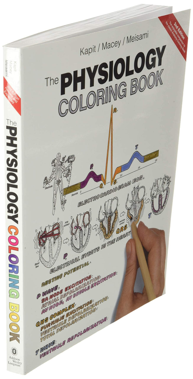 Physiology Coloring Book, The,New