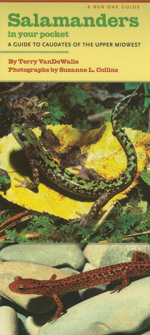 Salamanders In Your Pocket: A Guide To Caudates Of The Upper Midwest (Bur Oak Guide),Used