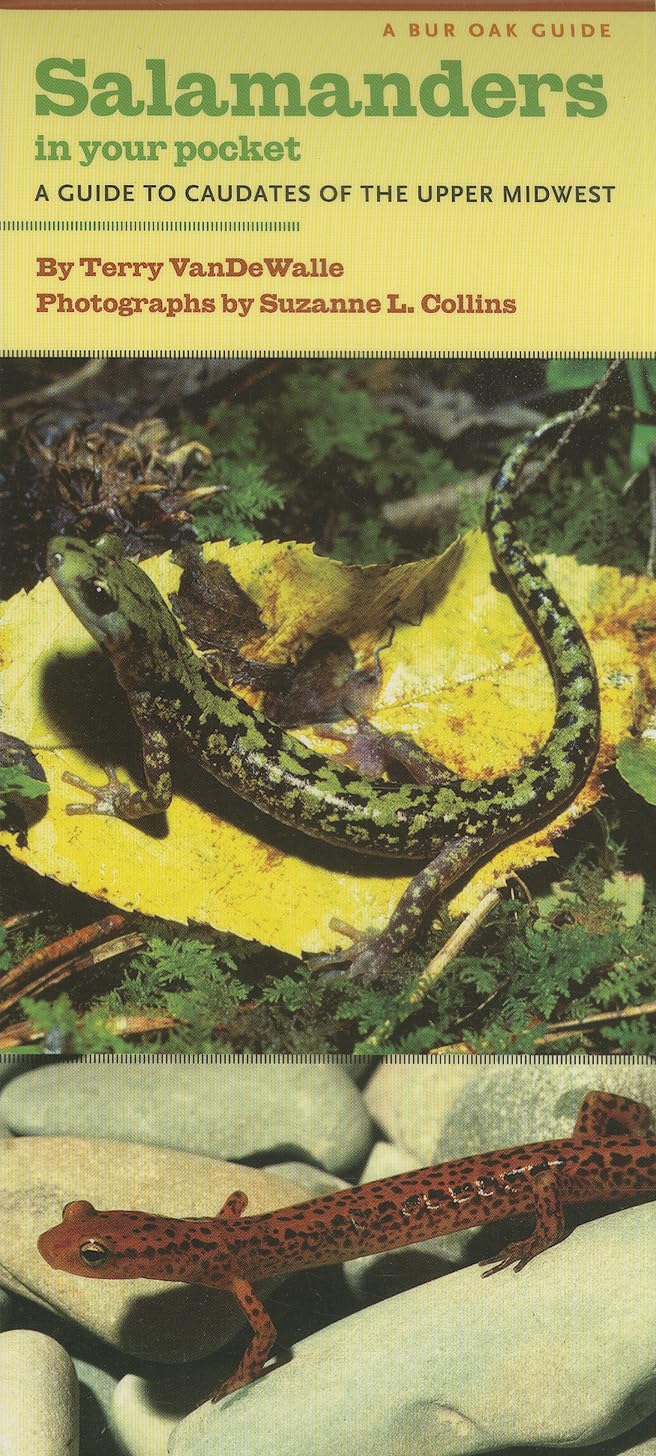Salamanders In Your Pocket: A Guide To Caudates Of The Upper Midwest (Bur Oak Guide),Used