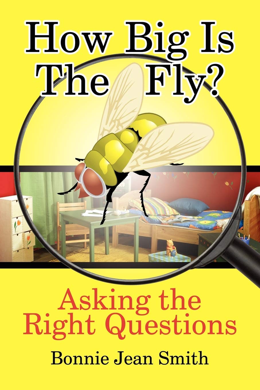 How Big is the Fly?: Asking the Right Questions,Used