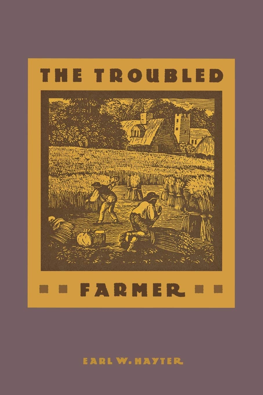 The Troubled Farmer: Rural Adjustment To Industrialism, 18501900,Used