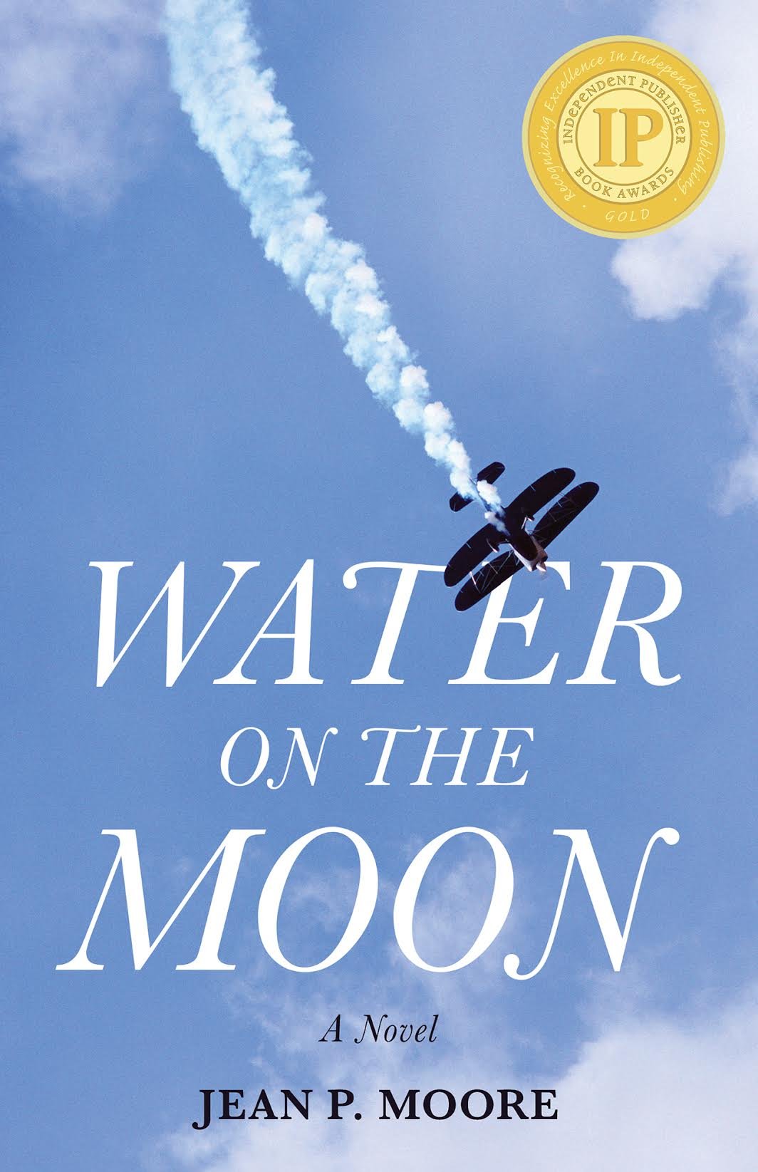 Water on the Moon: A Novel,Used