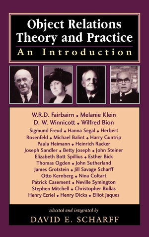 Object Relations Theory and Practice: An Introduction (The Library of Object Relations),Used