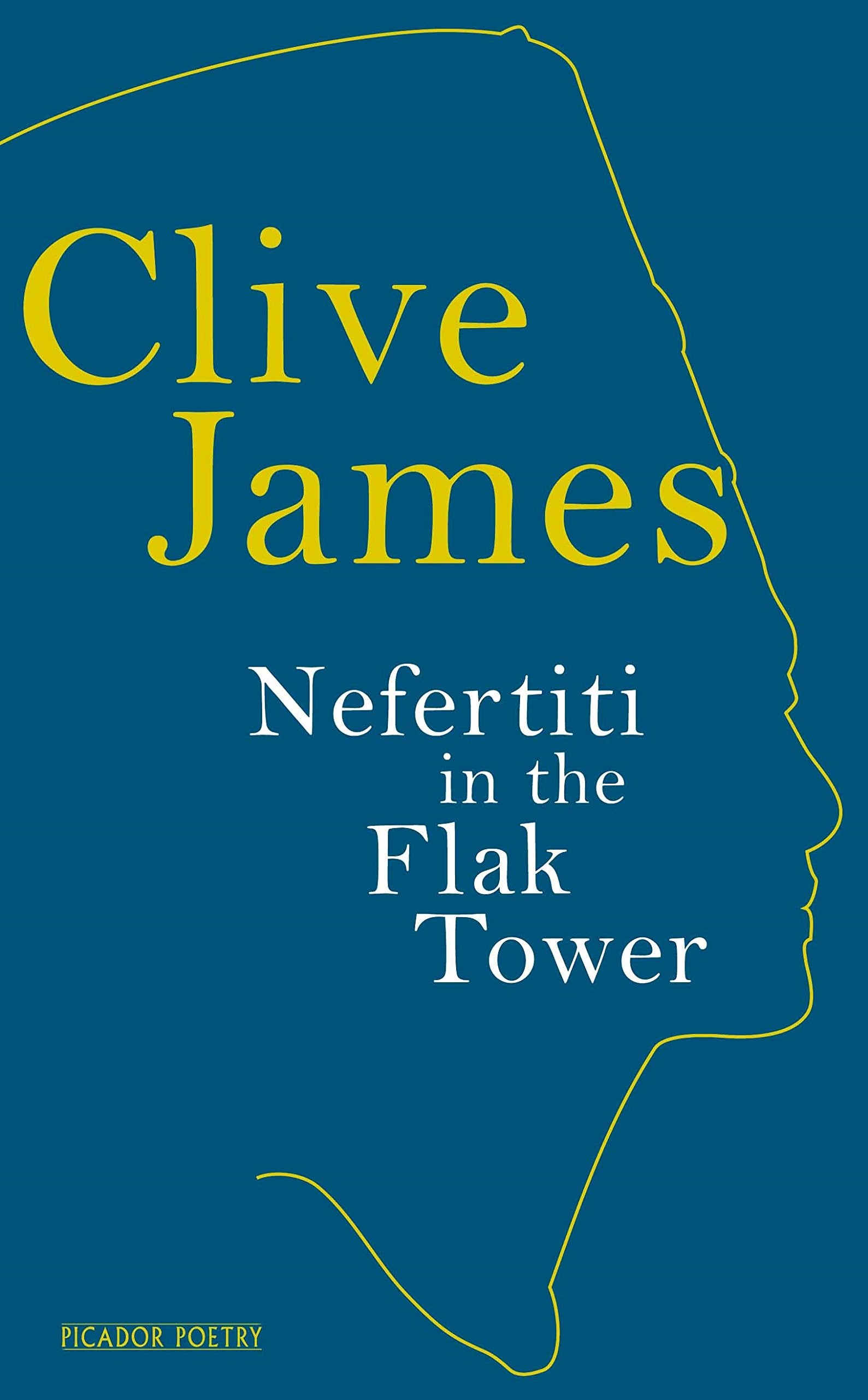 Nefertiti In The Flak Tower,Used