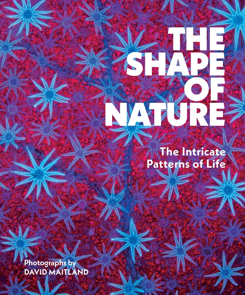 Shape Of Nature Life Stories Behind Na